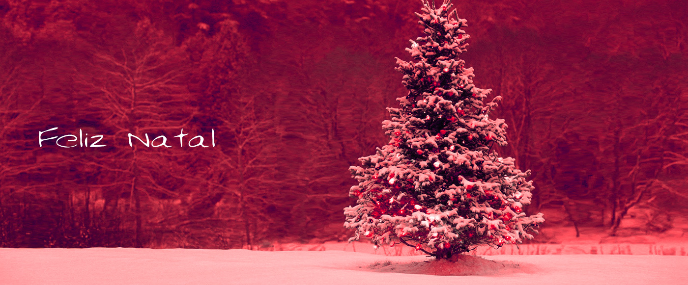 Chcara Novo Encantato